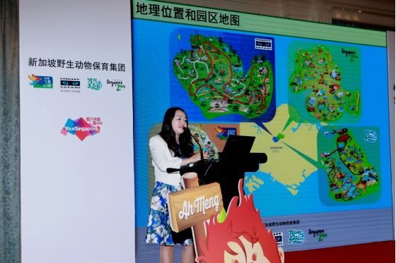 裕廊飛禽公園的“野生動(dòng)物之旅”能讓游客登上小型機(jī)動(dòng)車工業(yè)水洗機(jī)